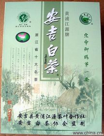 安吉白茶 綠茶中的隱世珍品